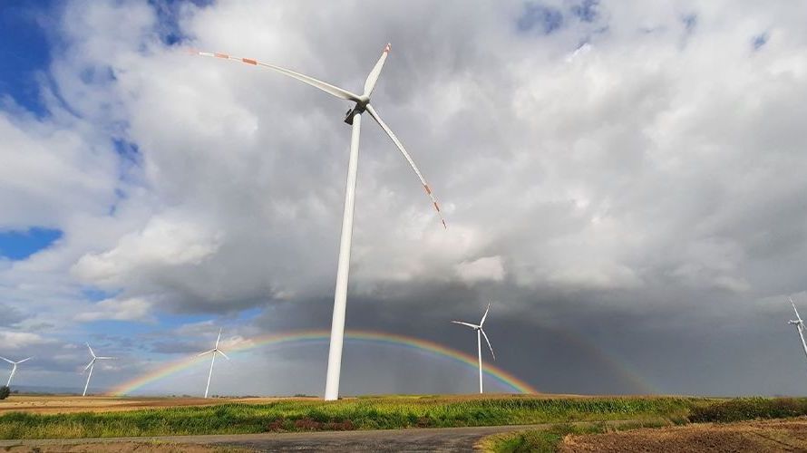 Cementownie potrzebują zielonej energii z OZE